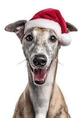 Greyhound Dog with Santa Hat