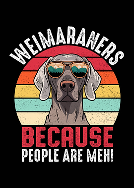 Weimaraner Dog with Sunglasses