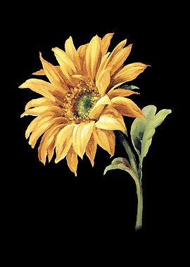 Vintage Sunflower
