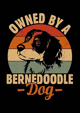 Owned by a Bernedoodle Dog