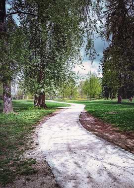 Winding Path Through a Green Park