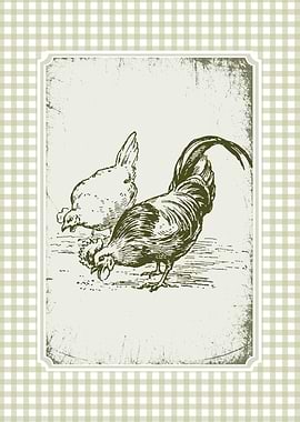Vintage Chicken and Rooster Illustration