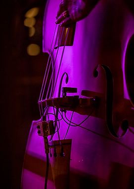 Rock and Roll all night