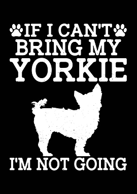 Yorkie Dog