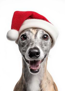 Whippet Dog with Santa Hat Portrait