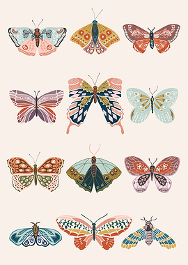 Decorative Butterfly and Moth Illustration