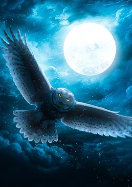 Snowy Owl in Flight at Night