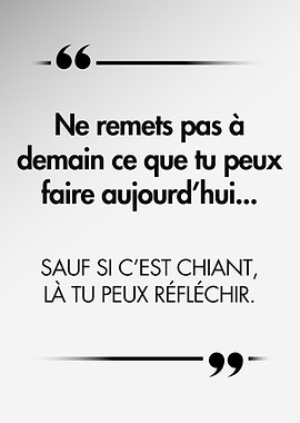 Funny French Inspirational Quote Poster