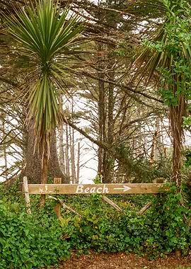 Oregon Coast Beach PNW