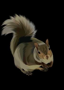 Squirrel Illustration on Black Background