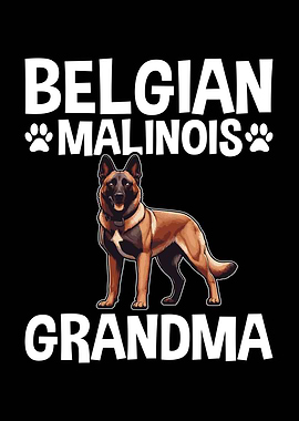 Belgian Malinois Grandma Dog