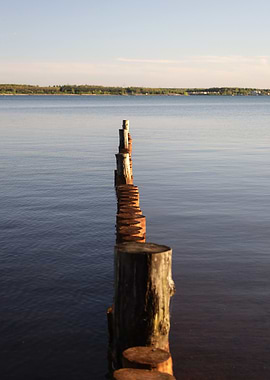 Wooden posts in calm lake water
