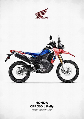 Honda CRF 300 L Rally Motorcycle