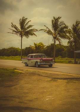 Vintage Car in Tropical Landscape