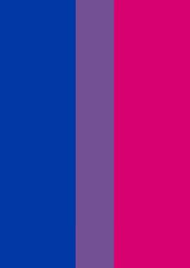 Bisexual Pride Flag