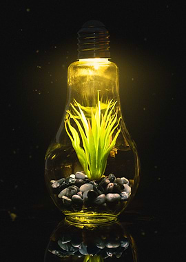 Light Bulb Terrarium with Plant