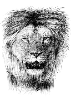 Original Lion Portrait - Black and White Sketch