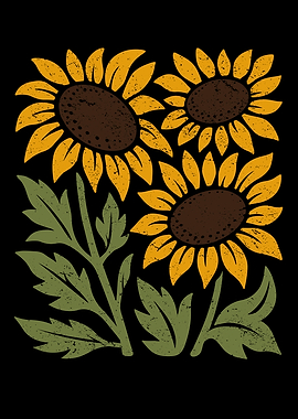 Three Sunflowers on Black Background