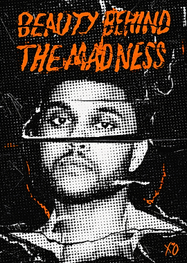 Beauty Behind the Madness Album Art