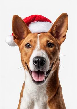 Basenji Dog with Santa Hat Portrait