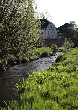 River flowing through a green landscape