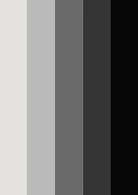 Monochrome Color Palette
