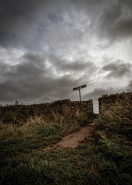 Overcast Path with Signpost