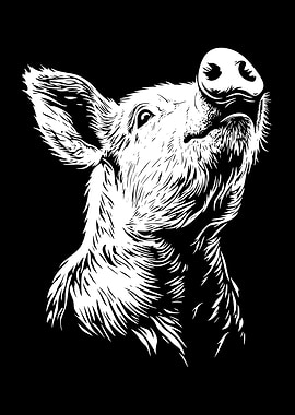 White Pig Portrait on Black Background