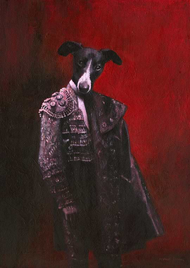 Whippet Matador Portrait
