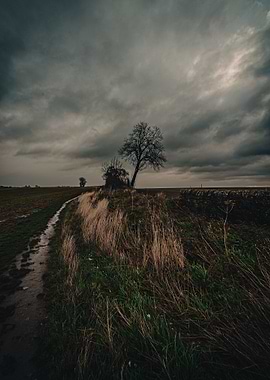 Gloomy Landscape with Bare Trees