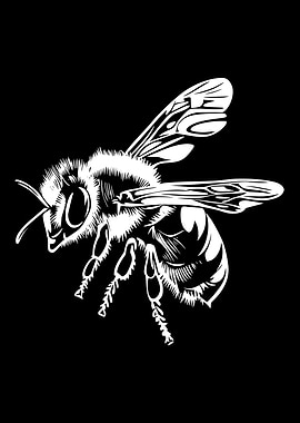 White Bee on Black Background