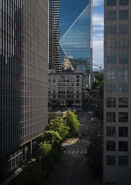 The light knows the way