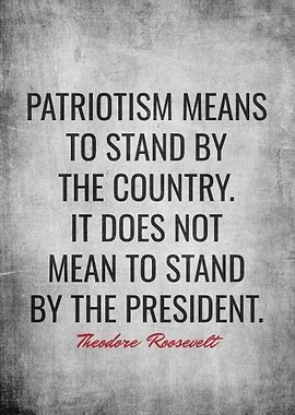 Theodore Roosevelt Quotes