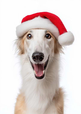 Borzoi Dog with Santa Hat Portrait