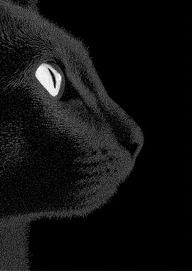 Black Cat Profile Stippling Art