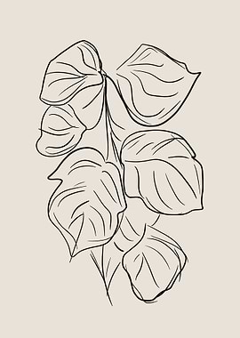 Leaf Line Art