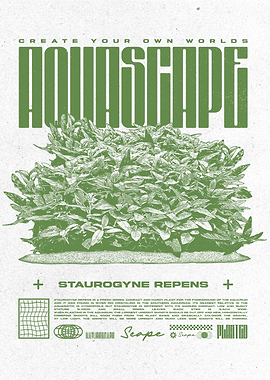 Aquascape Staurogyne Repens Plant Poster
