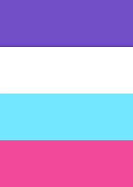 Omnisexual Pride Flag