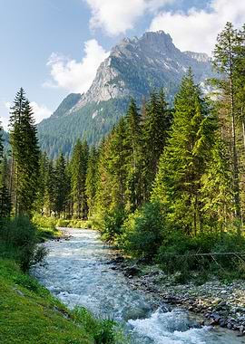 Avisio River in Italy - Mountain River Landscape