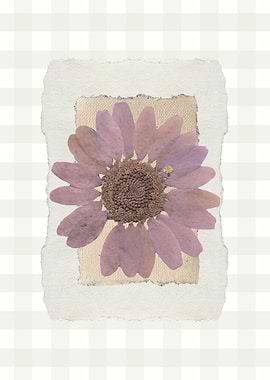 Pressed Purple Flower Art