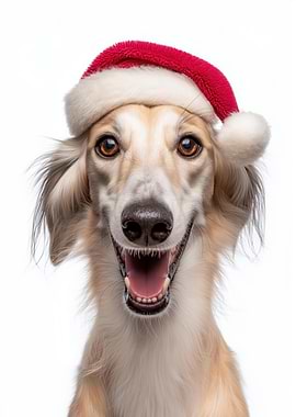 Smiling Saluki Dog with Santa Hat