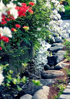 Flowing Stream with Red and White Flowers