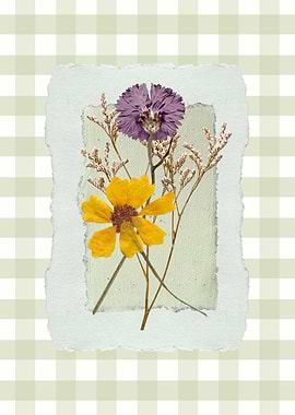 Pressed Flowers on Textured Paper
