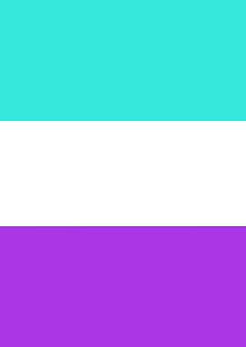 Aromantic Pride Flag