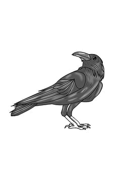 Monochrome Raven Illustration