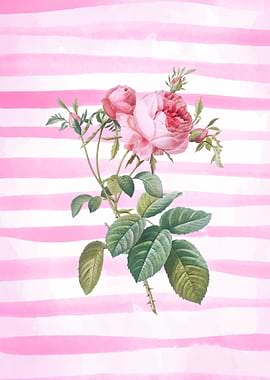 Pink Striped Floral Art