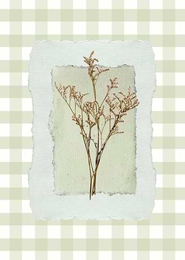 Dried Flower Art on Textured Paper