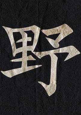 Wild , Japanese Calligraphy on Black Fabric