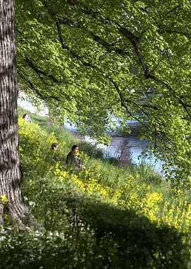 Peaceful riverside scene with people