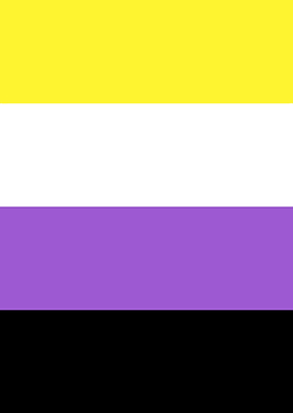 Nonbinary Pride Flag